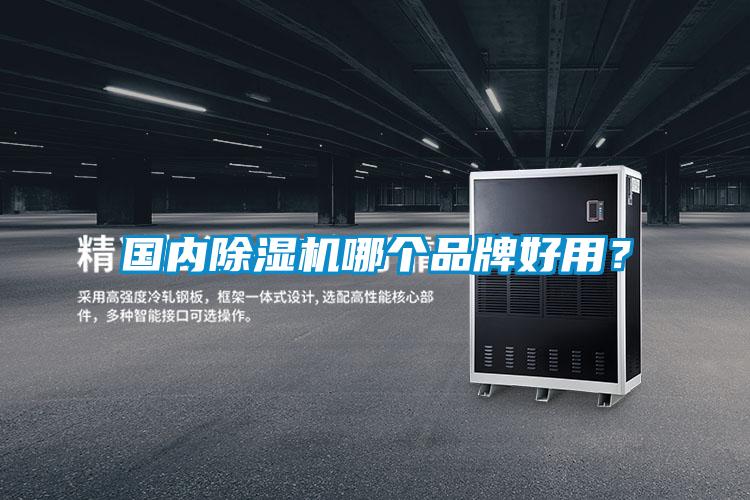 國(guó)內(nèi)除濕機(jī)哪個(gè)品牌好用？