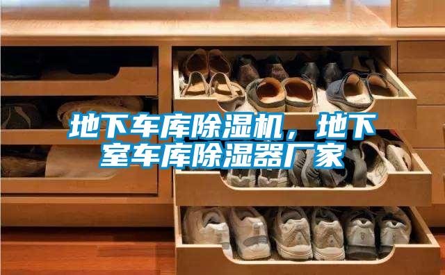 地下車庫除濕機，地下室車庫除濕器廠家