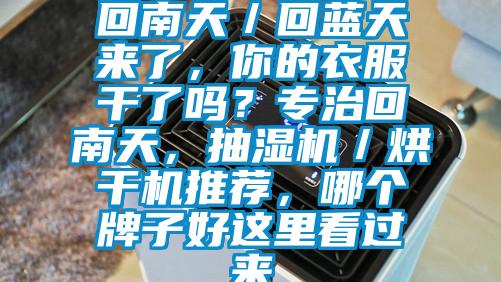 回南天／回藍(lán)天來了，你的衣服干了嗎？專治回南天，抽濕機(jī)／烘干機(jī)推薦，哪個(gè)牌子好這里看過來