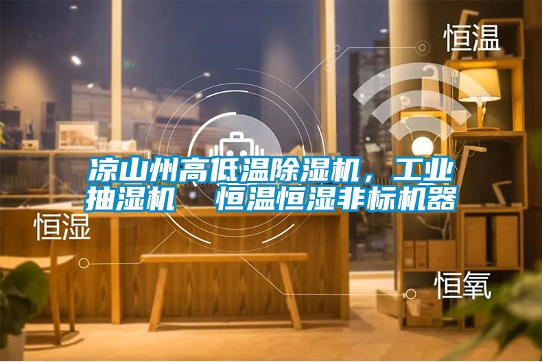 涼山州高低溫除濕機，工業(yè)抽濕機  恒溫恒濕非標機器