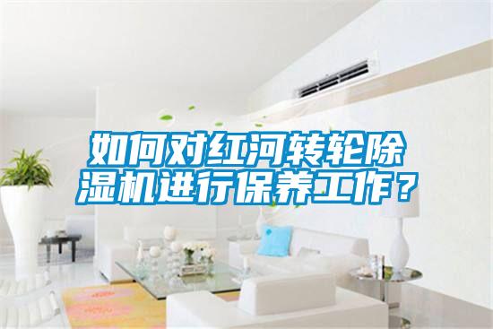 如何對(duì)紅河轉(zhuǎn)輪除濕機(jī)進(jìn)行保養(yǎng)工作？
