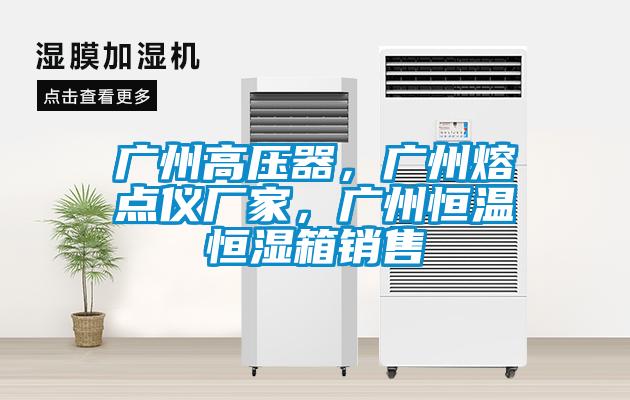 廣州高壓器，廣州熔點(diǎn)儀廠家，廣州恒溫恒濕箱銷售