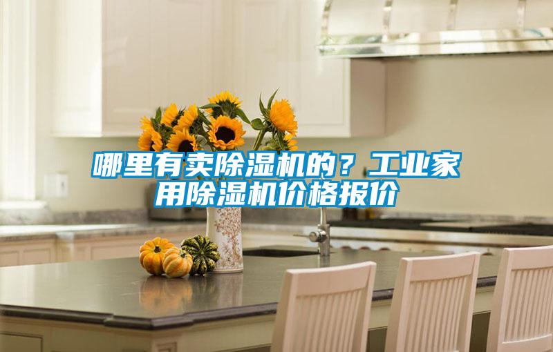哪里有賣除濕機的？工業(yè)家用除濕機價格報價