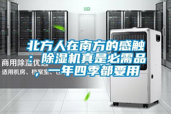 北方人在南方的感觸：除濕機真是必需品，一年四季都要用