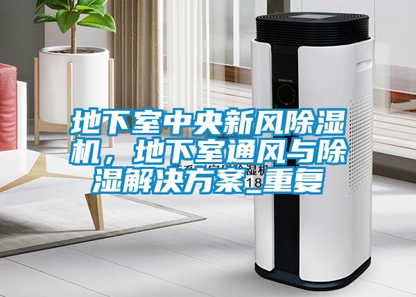 地下室中央新風(fēng)除濕機(jī)，地下室通風(fēng)與除濕解決方案_重復(fù)
