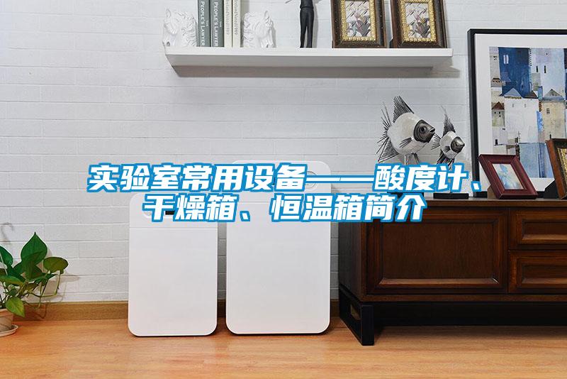 實(shí)驗(yàn)室常用設(shè)備——酸度計(jì)、干燥箱、恒溫箱簡介