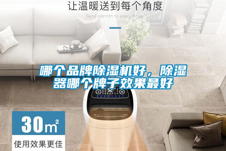 哪個(gè)品牌除濕機(jī)好，除濕器哪個(gè)牌子效果最好