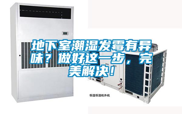 地下室潮濕發(fā)霉有異味？做好這一步，完美解決！