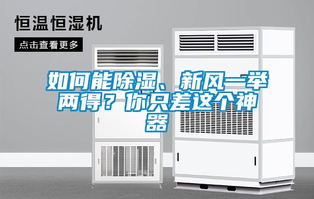 如何能除濕、新風(fēng)一舉兩得？你只差這個(gè)神器