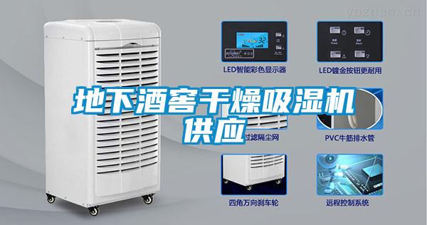 地下酒窖干燥吸濕機供應(yīng)