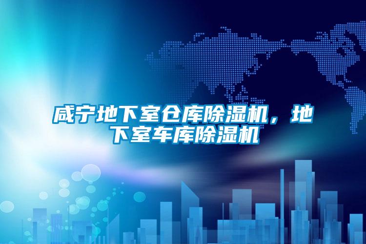 咸寧地下室倉(cāng)庫(kù)除濕機(jī)，地下室車庫(kù)除濕機(jī)