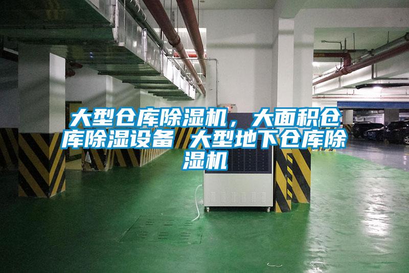 大型倉(cāng)庫(kù)除濕機(jī)，大面積倉(cāng)庫(kù)除濕設(shè)備 大型地下倉(cāng)庫(kù)除濕機(jī)