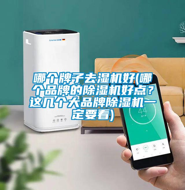 哪個(gè)牌子去濕機(jī)好(哪個(gè)品牌的除濕機(jī)好點(diǎn)？這幾個(gè)大品牌除濕機(jī)一定要看)