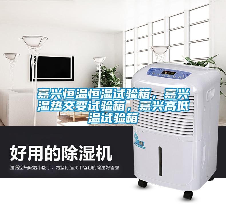 嘉興恒溫恒濕試驗(yàn)箱，嘉興濕熱交變?cè)囼?yàn)箱，嘉興高低溫試驗(yàn)箱