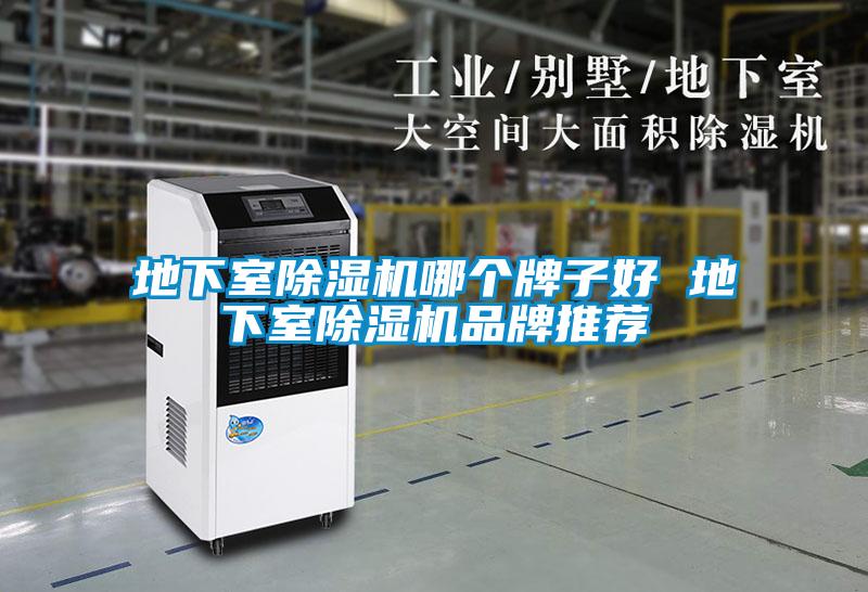 地下室除濕機(jī)哪個牌子好 地下室除濕機(jī)品牌推薦