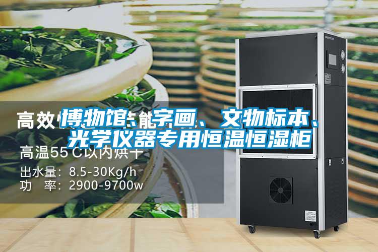 博物館、字畫、文物標(biāo)本、光學(xué)儀器專用恒溫恒濕柜