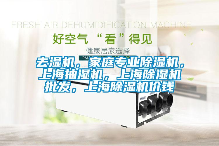 去濕機(jī)，家庭專業(yè)除濕機(jī)，上海抽濕機(jī)，上海除濕機(jī)批發(fā)，上海除濕機(jī)價(jià)錢