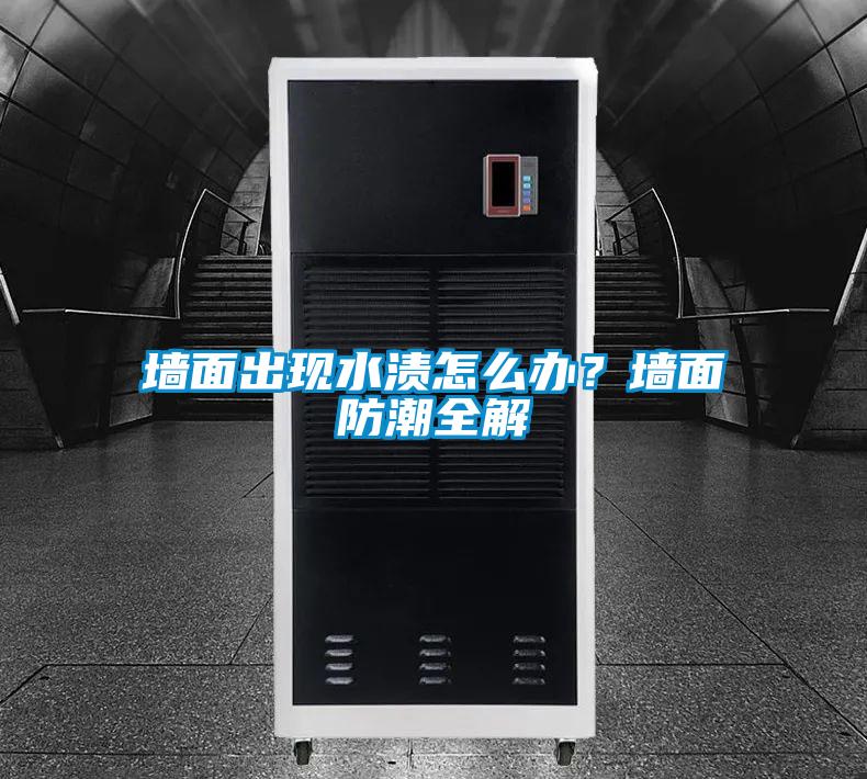 墻面出現(xiàn)水漬怎么辦？墻面防潮全解