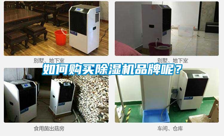 如何購買除濕機(jī)品牌呢？