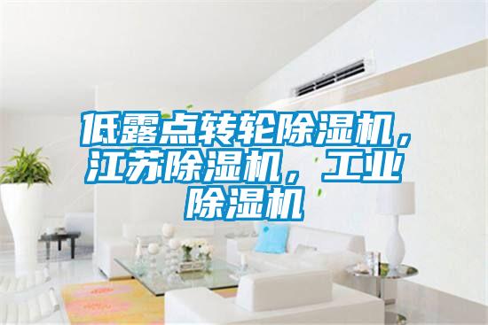 低露點(diǎn)轉(zhuǎn)輪除濕機(jī)，江蘇除濕機(jī)，工業(yè)除濕機(jī)