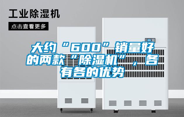 大約“600”銷(xiāo)量好的兩款“除濕機(jī)”，各有各的優(yōu)勢(shì)