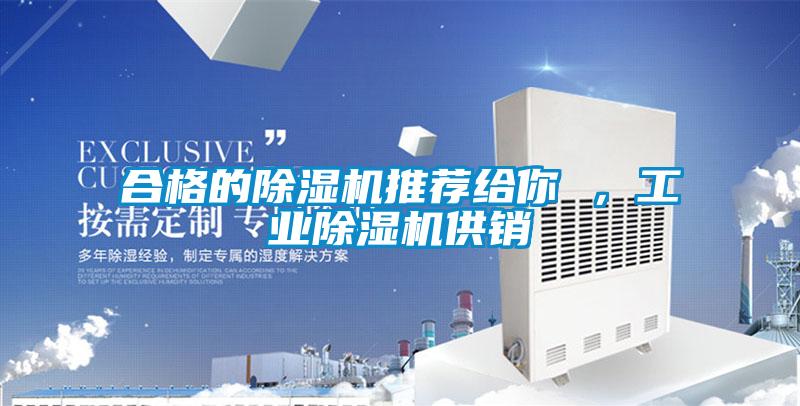 合格的除濕機推薦給你 ，工業(yè)除濕機供銷