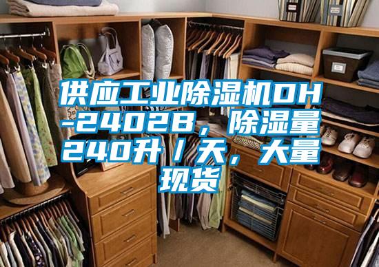 供應(yīng)工業(yè)除濕機(jī)DH-2402B，除濕量240升／天，大量現(xiàn)貨