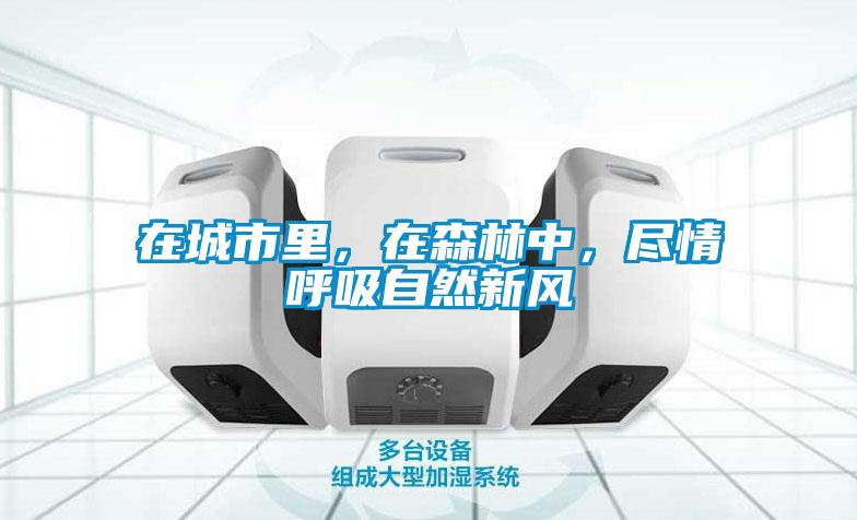 在城市里，在森林中，盡情呼吸自然新風(fēng)