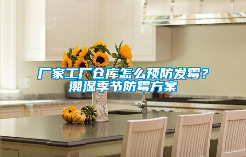 廠家工廠倉庫怎么預(yù)防發(fā)霉？潮濕季節(jié)防霉方案