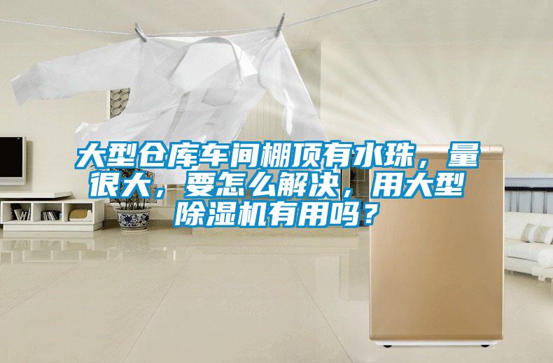 大型倉(cāng)庫(kù)車(chē)間棚頂有水珠，量很大，要怎么解決，用大型除濕機(jī)有用嗎？
