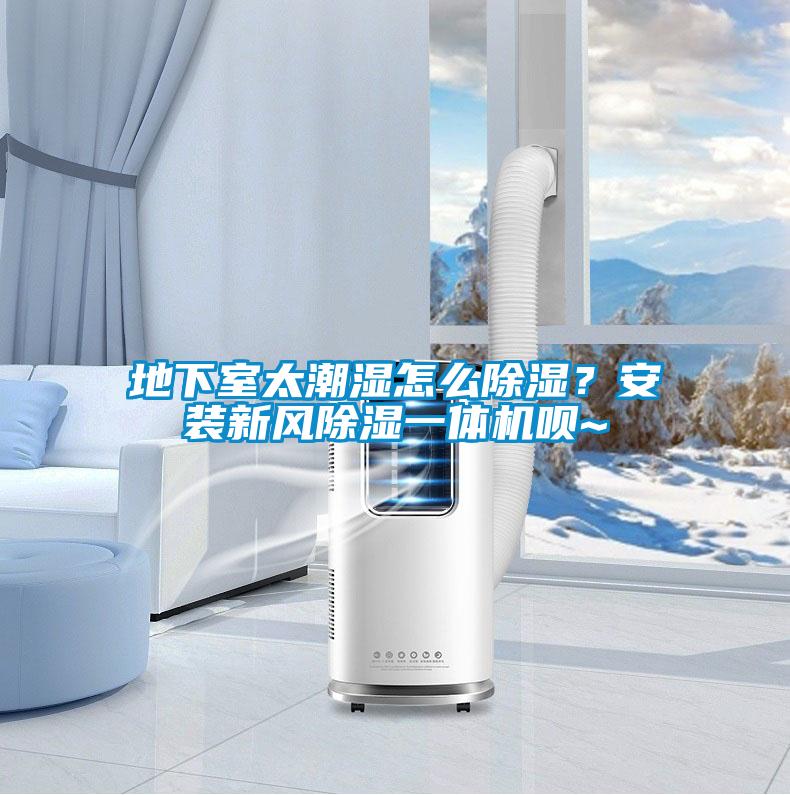 地下室太潮濕怎么除濕？安裝新風除濕一體機唄~