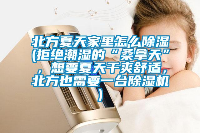 北方夏天家里怎么除濕(拒絕潮濕的“桑拿天”，想要夏天干爽舒適，北方也需要一臺除濕機)