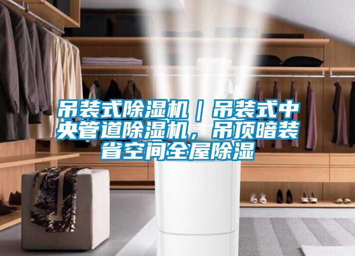 吊裝式除濕機(jī)｜吊裝式中央管道除濕機(jī)，吊頂暗裝省空間全屋除濕