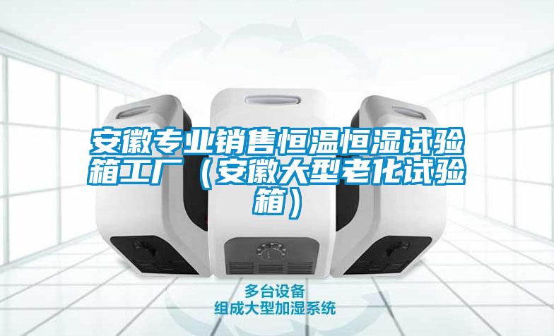 安徽專業(yè)銷售恒溫恒濕試驗箱工廠（安徽大型老化試驗箱）