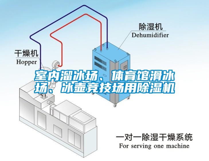 室內溜冰場、體育館滑冰場、冰壺競技場用除濕機