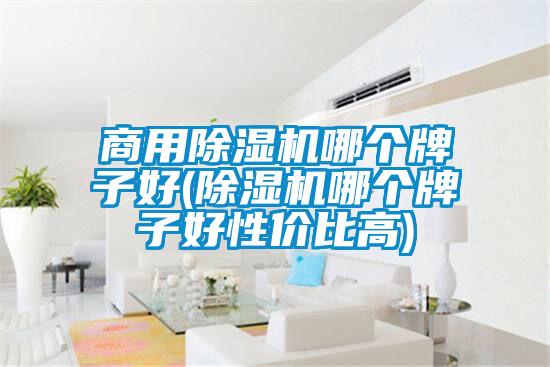 商用除濕機(jī)哪個牌子好(除濕機(jī)哪個牌子好性價比高)