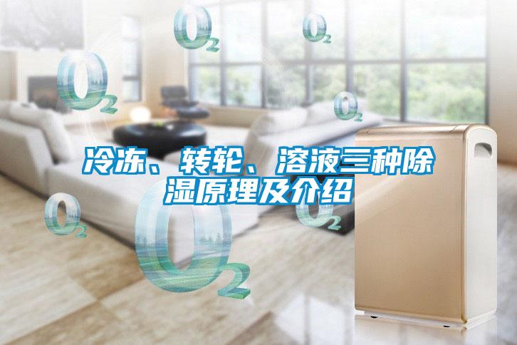 冷凍、轉(zhuǎn)輪、溶液三種除濕原理及介紹