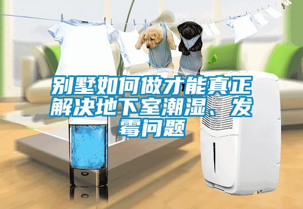 別墅如何做才能真正解決地下室潮濕、發(fā)霉問題