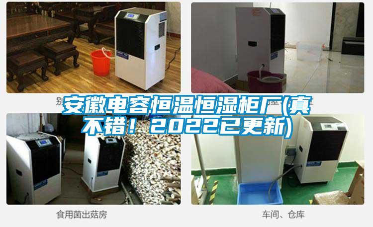 安徽電容恒溫恒濕柜廠(真不錯！2022已更新)