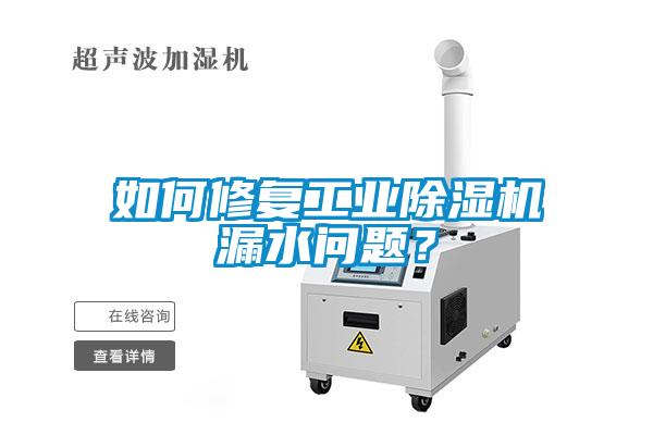 如何修復(fù)工業(yè)除濕機(jī)漏水問題？