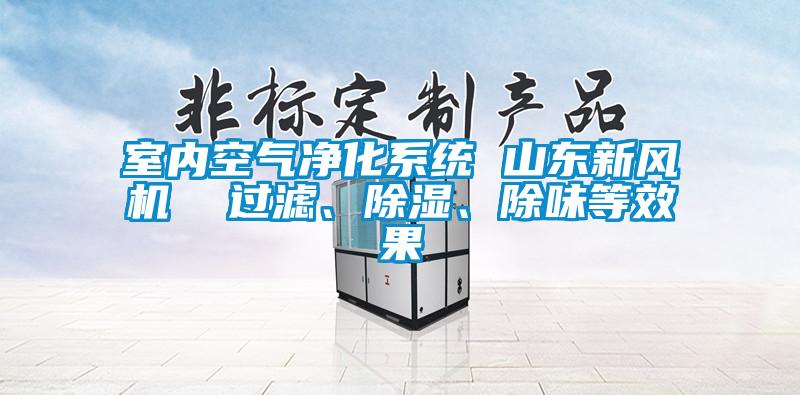 室內(nèi)空氣凈化系統(tǒng) 山東新風(fēng)機(jī)  過濾、除濕、除味等效果