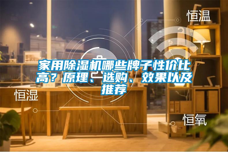 家用除濕機(jī)哪些牌子性價(jià)比高？原理、選購、效果以及推薦