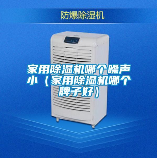 家用除濕機哪個噪聲?。矣贸凉駲C哪個牌子好）