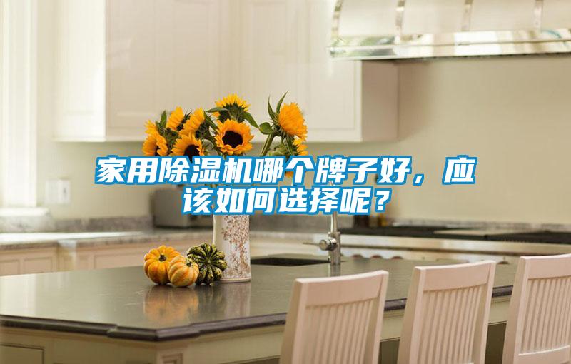 家用除濕機(jī)哪個(gè)牌子好，應(yīng)該如何選擇呢？