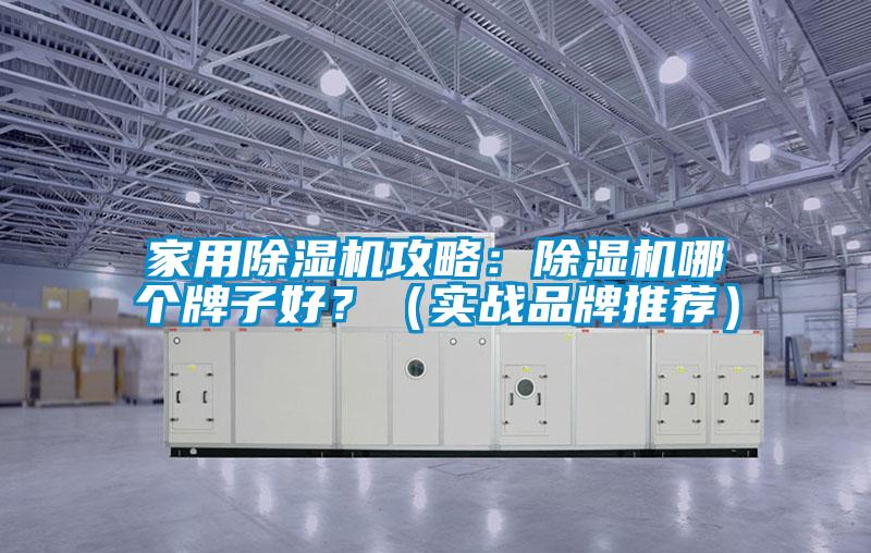 家用除濕機(jī)攻略：除濕機(jī)哪個(gè)牌子好？（實(shí)戰(zhàn)品牌推薦）