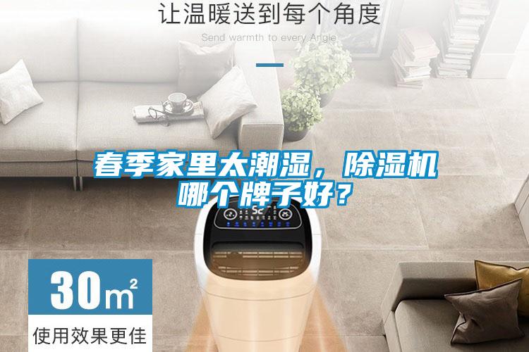春季家里太潮濕，除濕機哪個牌子好？