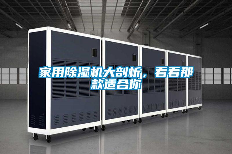 家用除濕機大剖析，看看那款適合你