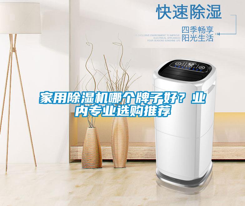 家用除濕機(jī)哪個(gè)牌子好？業(yè)內(nèi)專業(yè)選購?fù)扑]