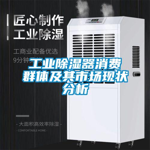 工業(yè)除濕器消費群體及其市場現狀分析