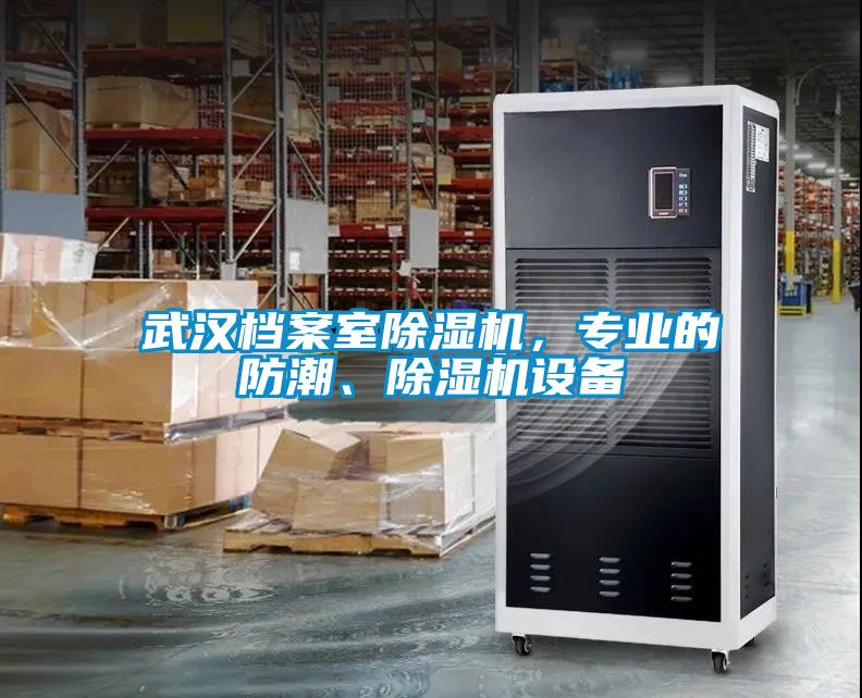 武漢檔案室除濕機(jī)，專業(yè)的防潮、除濕機(jī)設(shè)備
